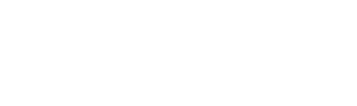 Synergy Summits